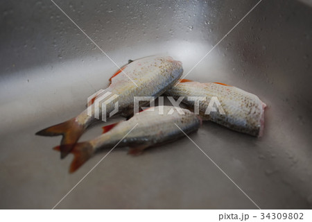 Three Cleaned Fish 34309802