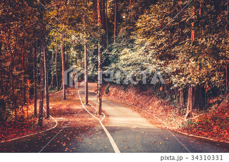 Autumn park road background. Beautiful landscape Autumn park road background. Beautiful landscape 34310331