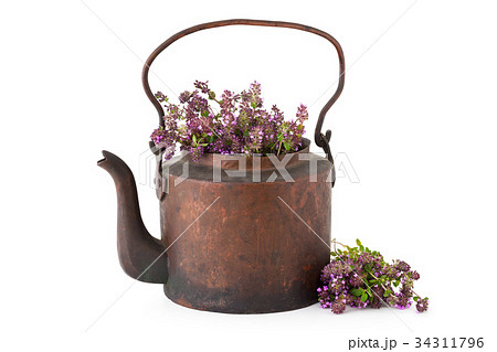 Tea kettle and bunch of thyme 34311796