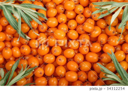 Sea buckthorn. Background of ripe fresh berries Sea buckthorn. Background of ripe fresh berries 34312254