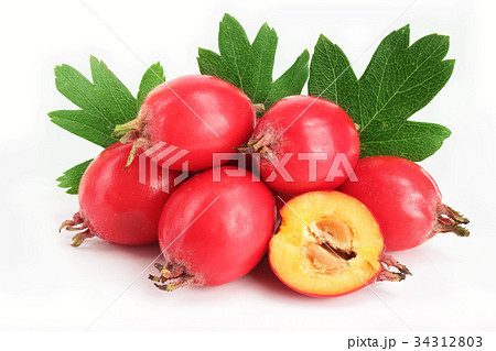 Hawthorn berry with leaf isolated on white Hawthorn berry with leaf isolated on white 34312803