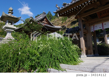 安原最明寺 34314112