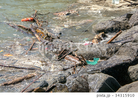 漂着物 34315910