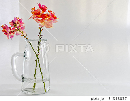 Orchids with pastel color in glass jar, 34318037