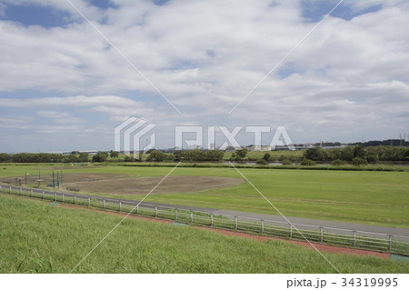 葛飾区 柴又 河川敷 34319995