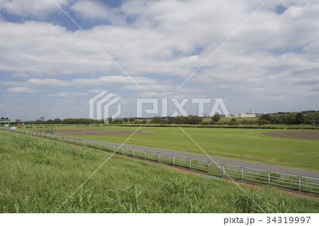 葛飾区 柴又 河川敷 34319997