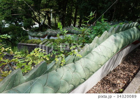 山口観音　金乗院　龍 34320089