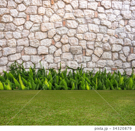 Stone wall and fox-tail with Green field 34320879