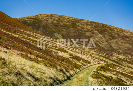 footpath through hills with forest footpath through hills with forest 34321984