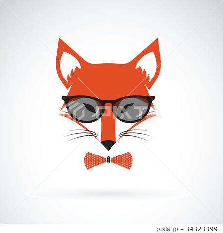 Vector of fox wearing glasses. Animal Vector of fox wearing glasses. Animal 34323399
