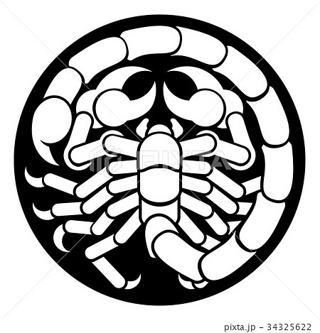 Zodiac Signs Scorpio Scorpion Iconのイラスト素材