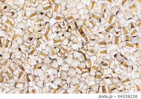 Adlay Adlay 34326226