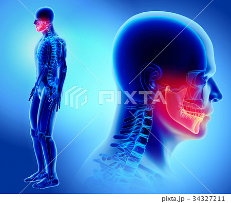 3D illustration of Mandible, medical concept. 3D illustration of Mandible, medical concept. 34327211