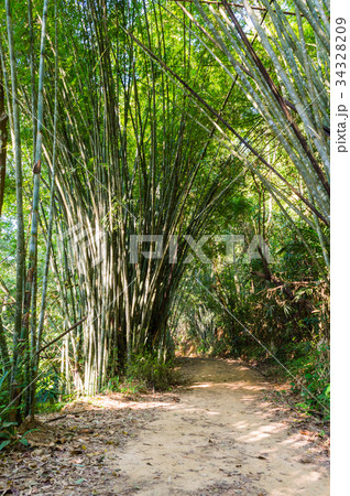 Scenery in Khao Sok National Park in Thailand Scenery in Khao Sok National Park in Thailand 34328209