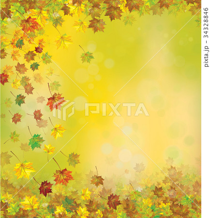 Vector autumnal leaves   background. 34328846