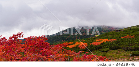 北海道 大雪山 旭岳 紅葉 34329746