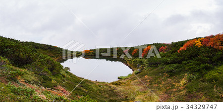 北海道 大雪山 旭岳 紅葉 34329747