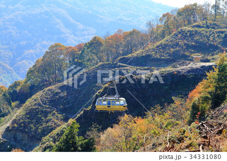 秋の宝登山ロープウェイ 秋の宝登山ロープウェイ 34331080
