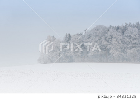foggy winter landscape - frosty trees foggy winter landscape - frosty trees 34331328