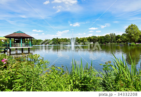 Pond Schlossteich in Chemnitz (Germany)  34332208