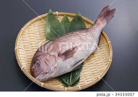 鯛 34333007