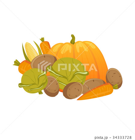 Heap, pile, group of autumn vegetables 34333728