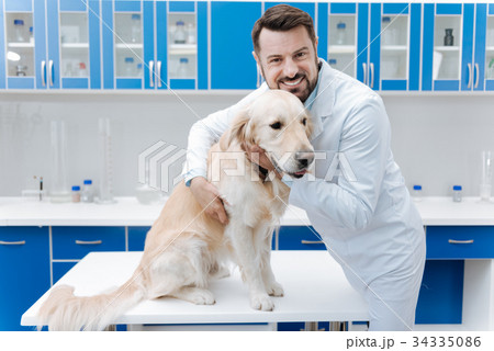 Upset dog being very quiet 34335086