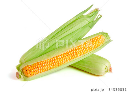 ear of corn isolated on a white background ear of corn isolated on a white background 34336051
