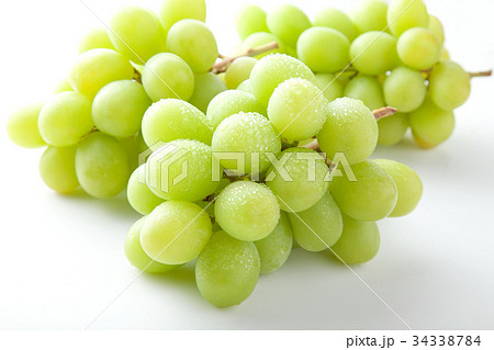 シャインマスカット シャインマスカット 34338784