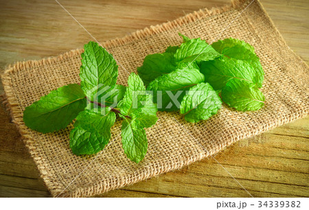 mint on sack background 34339382
