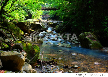 スッカン沢 スッカン沢 34339719