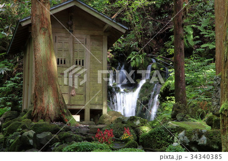 胴腹滝     どうはらたき	 34340385