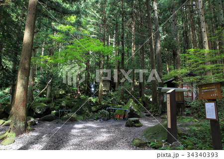 胴腹滝     どうはらたき	 34340393