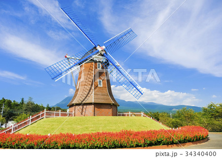 赤いサルビアと風車 34340400