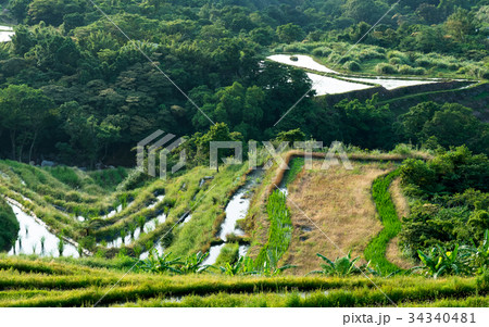 ベトナム ベトナム社会主義共和国 ベトナム人 34340481