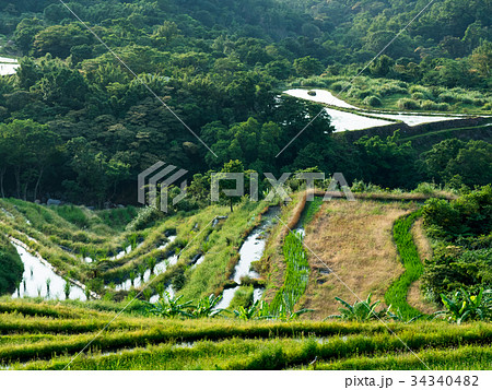 ベトナム ベトナム社会主義共和国 ベトナム人 34340482