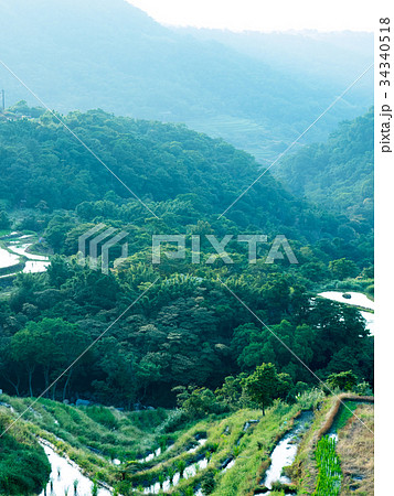 ベトナム ベトナム社会主義共和国 ベトナム人 34340518