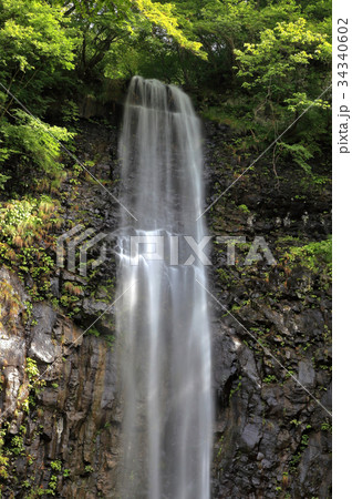 玉簾の滝 　たますだれのたき	 34340602