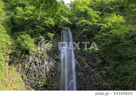 玉簾の滝 　たますだれのたき	 34340603