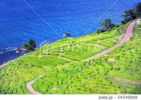 輪島、白米千枚田 輪島、白米千枚田 34340899
