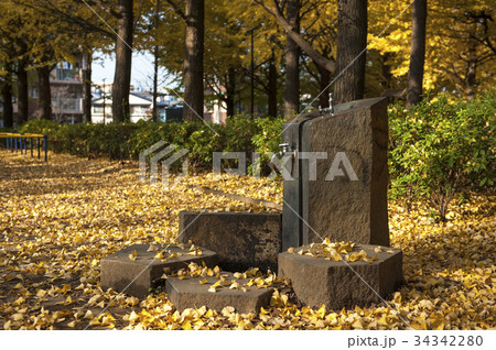 Water Fountain with ginkgo leaves in autumn, Tokyo Water Fountain with ginkgo leaves in autumn, Tokyo 34342280