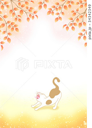 ねこ 猫 あくび 秋 紅葉 ねこ 猫 あくび 秋 紅葉 34342349