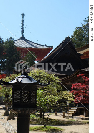 東塔２０１６年初夏その４ 34342661