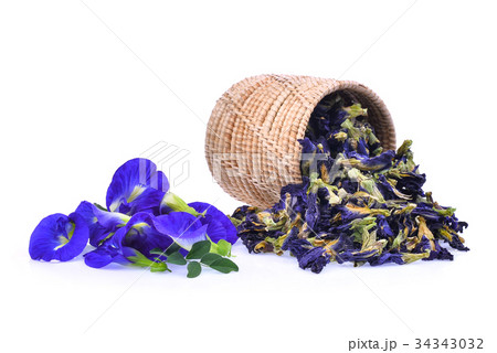 fresh and dried butterfly pea,blue pea,clitoria fresh and dried butterfly pea,blue pea,clitoria 34343032
