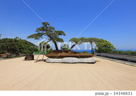 アカオフォレスト　日本庭園 34346631