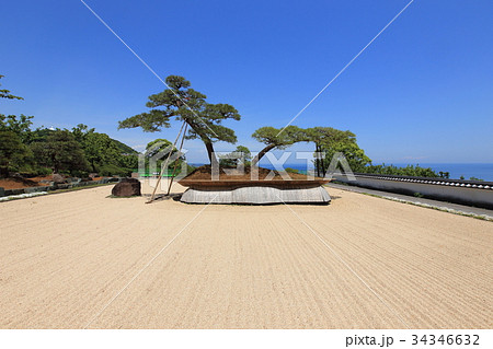 アカオフォレスト　日本庭園 34346632