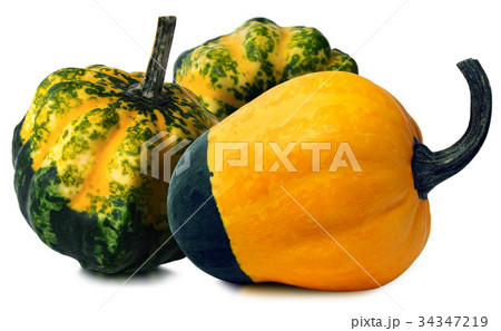 Three Decorative Pumpkins Isolated on White 34347219
