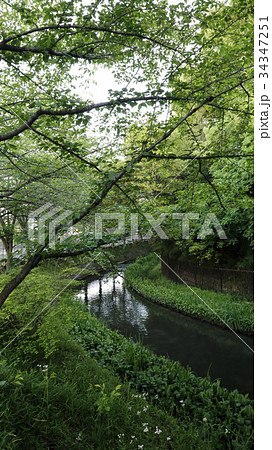 JR平野駅 34347251