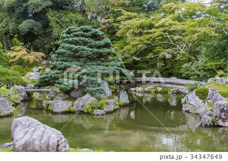 醍醐寺 庭園 醍醐寺 庭園 34347649