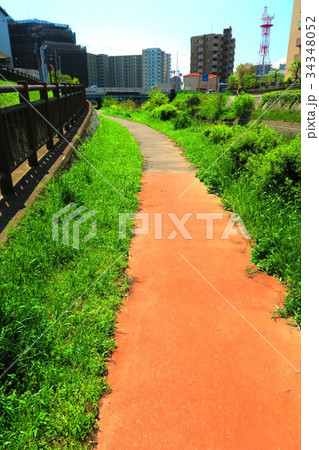 埼玉県川口市の旧芝川沿いのミエルかわぐち付近の風景 34348052